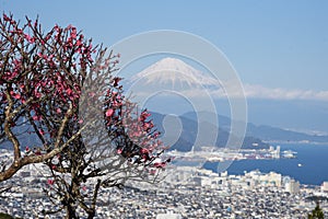 Mount Fuji and Shimizu Por