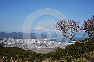 Mount Fuji and Shimizu Por