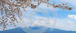 Mount Fuji with snow capped, blue sky and beautiful Cherry Blossom or pink Sakura flower tree in Spring Season at Lake kawaguchiko