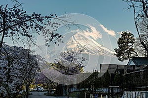 Mount Fuji, blue sky and beautiful Cherry Blossom or pink Sakura flower tree in Spring Season at Fujiyoshida, Japan. landmark and