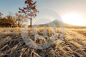 Mount Fuji Sunrise