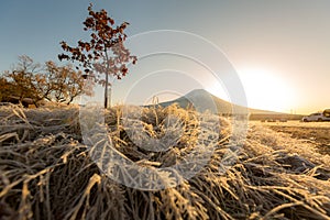 Mount Fuji Sunrise