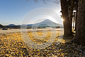 Mount Fuji Sunrise