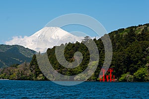 Mount Fuji and Tori