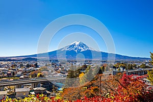 Mount Fuji with trees in the foreground in autumn in Kawaguchiko, Yamanashi, Japan