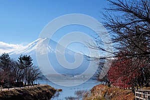 Mount Fuji view from around the Kawaguchi lake in Autumn