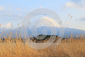 Mount Fuji, view from Lake Kawaguchiko