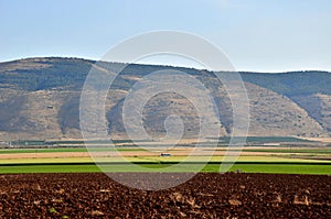 Mount Gilboa and Harod valley