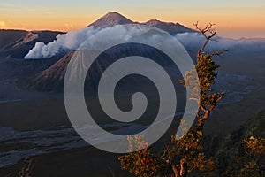 Mount Gunung Bromo volcano in Indonesia