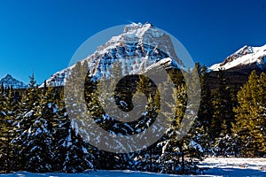 Mount Hector. Banff National Park Alberta, Canada