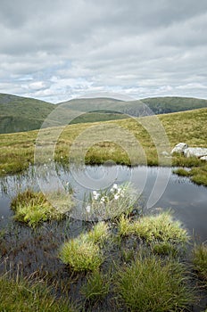 Mount Helvellyn, 950 metres high above Lake Ullswater.