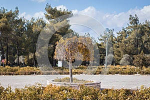 Mount Herzl Park, near a military cemetery