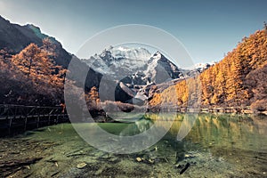 Mount holy Xiannairi reflection on emerald lake in autumn pine forest at Yading