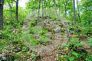 Mount Holyoke Range State Park trail