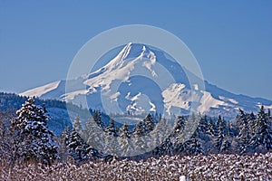 Mount Hood