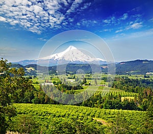 Mount hood and hood river valley