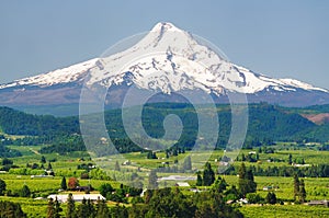 Mount hood and hood river valley