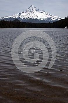 Mount Hood from Lost Lake