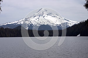 Mount Hood from Lost Lake