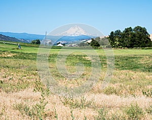 Mount Hood in Oregon state, USA