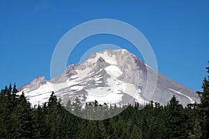 Mount Hood Oregon Wilderness Landscape