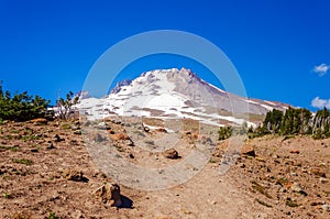 Mount Hood Peak