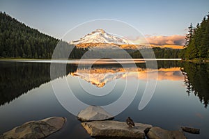 Mount Hood reflecting in Trillium Lake at sunset, National Forest