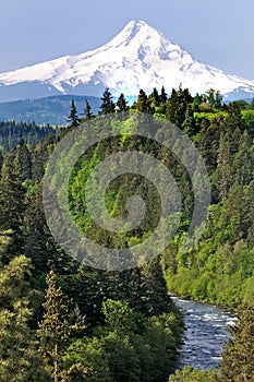 Mount Hood with River in Foreground