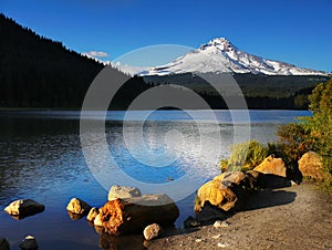 Mount Hood Volcano, Trillium Lake Oregon USA