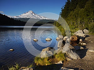 Mount Hood Volcano, Trillium Lake Oregon USA