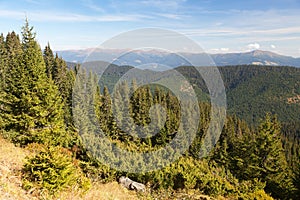 Mount Hoverla or Goverla, Ukraine Carpathian mountains