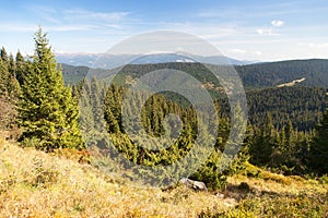 Mount Hoverla or Goverla, Ukraine Carpathian mountains