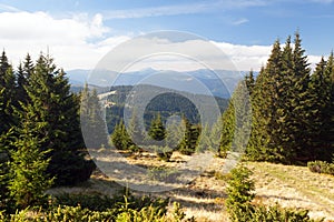 Mount Hoverla or Goverla, Ukraine Carpathian mountains