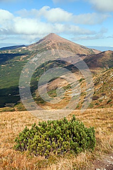 Mount Hoverla or Goverla, Ukraine Karpathian mountains