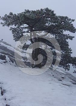 Mount Huangshan snow photo