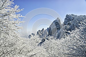 Mount Huangshan in winter