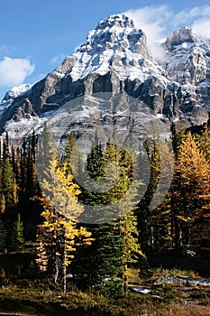 Mount Huber and Opabin Plateau, Yoho National Park, Canada