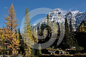 Mount Huber and Opabin Plateau, Yoho National Park, Canada