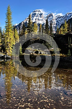 Mount Huber and Opabin Plateau, Yoho National Park, Canada