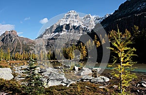 Mount Huber and Opabin Plateau, Yoho National Park, Canada