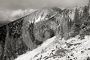 Mount Humphrey draped in snow photo