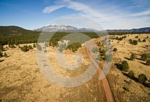 Mount Humphreys Fire Road Coconino National Forest