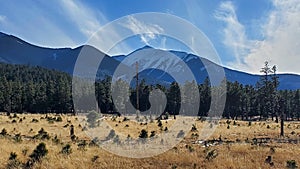 Mount Humphreys the Tallest Mountain in Arizona