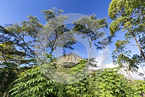 Mount Inerie and trees