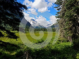 Mount Jackson rises across the Mirror Pond Meadow