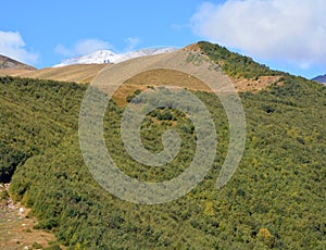 Mount Kazbek Caucasus