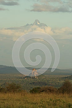 Mount Kenya