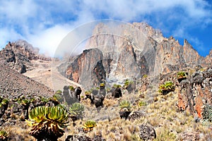 Mount Kenya, Africa photo