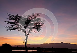 Mount kenya during sunrise, Ol Pejeta Conservancy, kenya