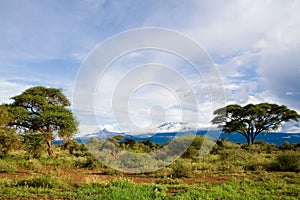 Mount Kilimanjaro